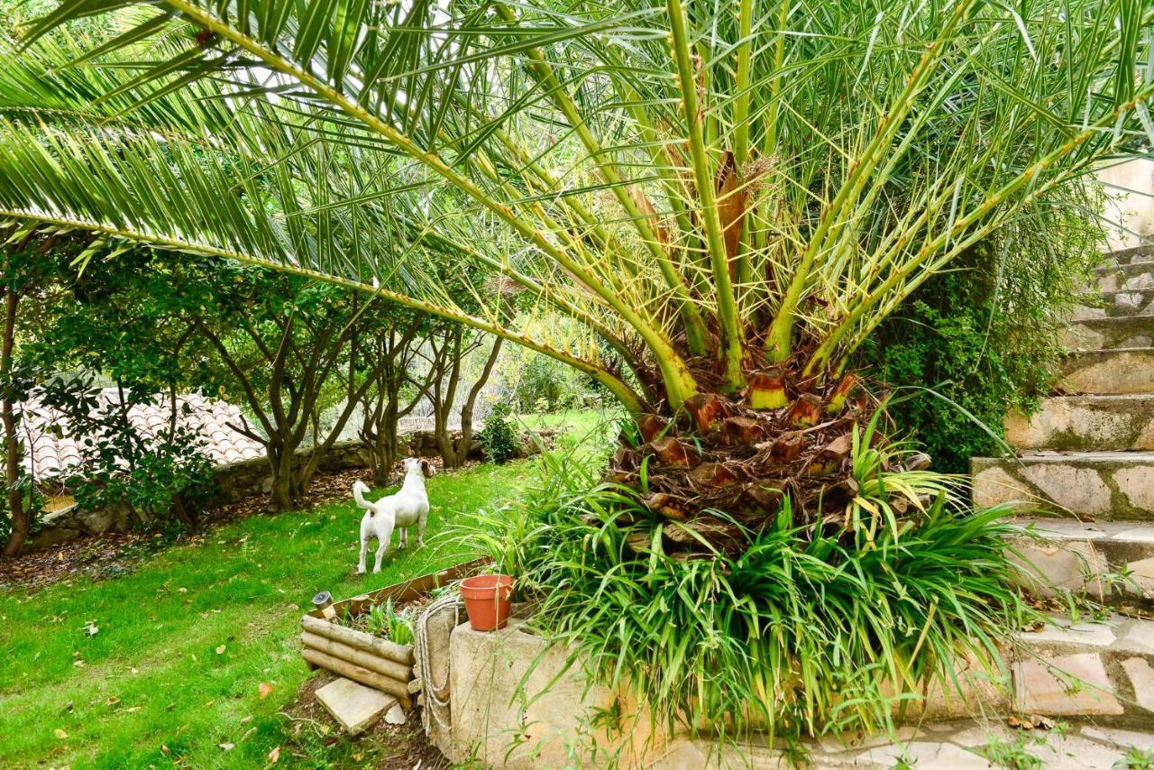 L'Appartement - Jardin Secret Marseilles Buitenkant foto